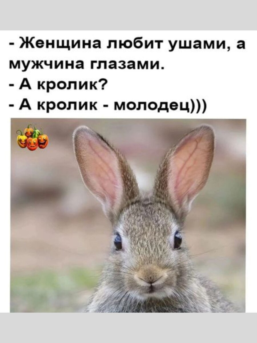 -6