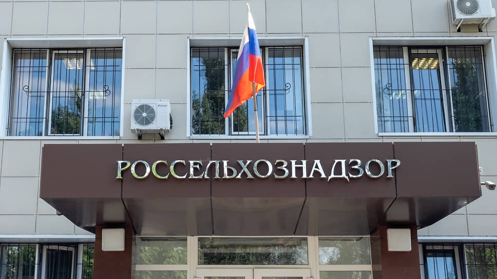 Фото: Олег Харсеев / Коммерсантъ