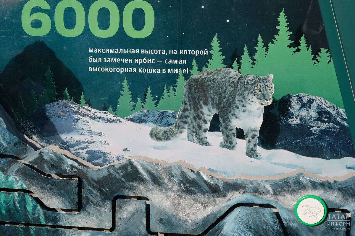 Фото: © «Татар-информ»