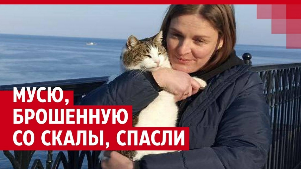 Фото из открытых источников https://ngs55.ru/html-to-img/og/1_80fpncLNNxdOA8miMFyg/article-id6235704-16x9.jpg?1740500973