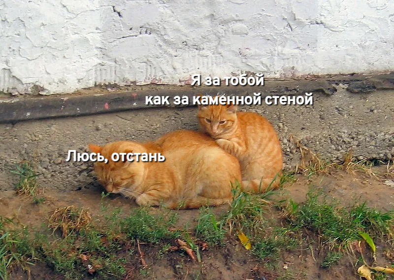 Ну ведь жизненно?