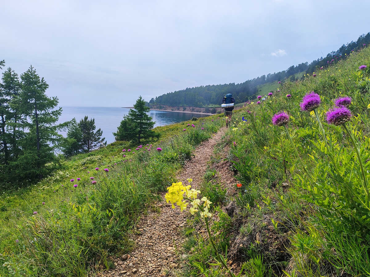 Впереди виднеется мыс Соболева, куда мы направляемся