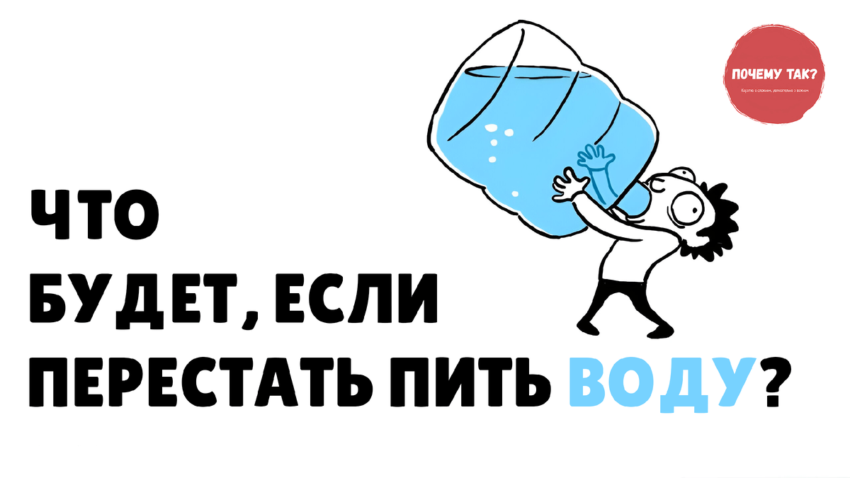 Основано на изображении © TED-Ed