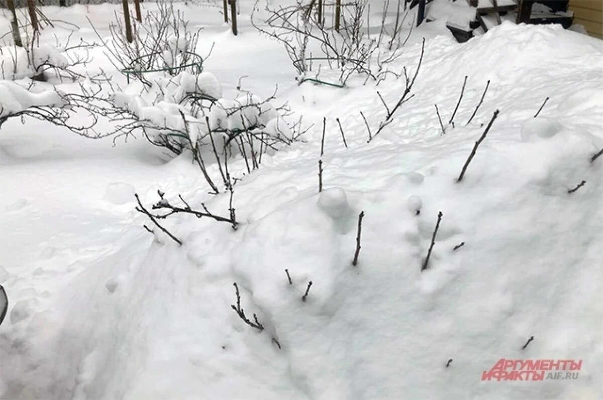    Опасные снежные шапки.