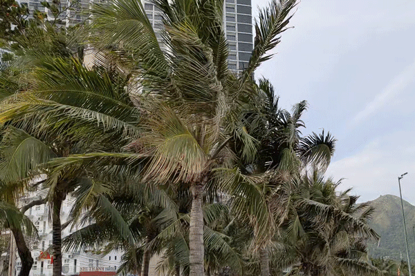 Тайфун - это прежде всего сильный ветер и дождь. Иллюстрация автора