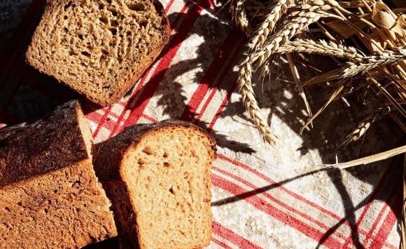 Фото: ru.freepik.com