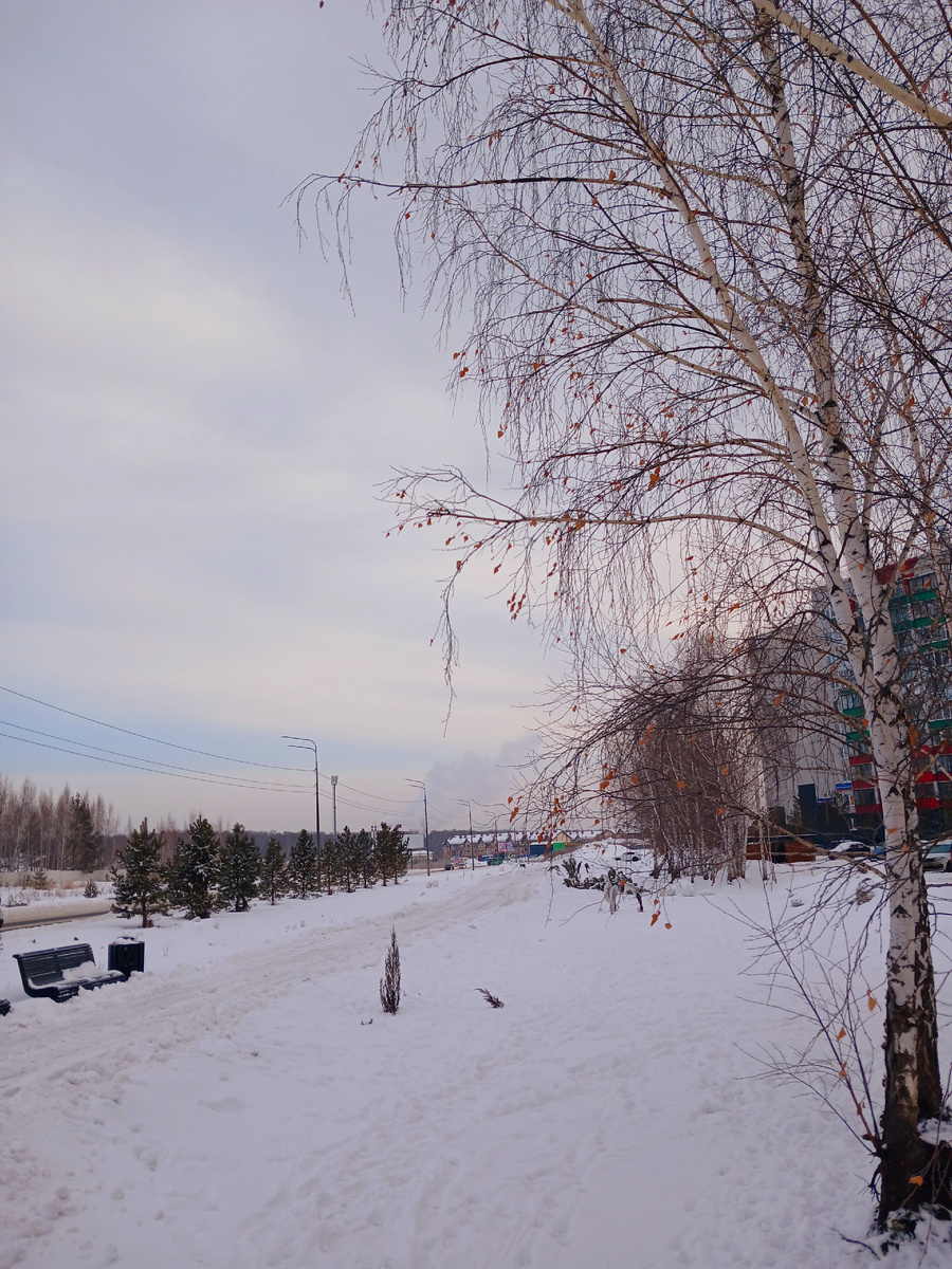 "Доброе утро, мир! Ты прекрасен!" Фото автора