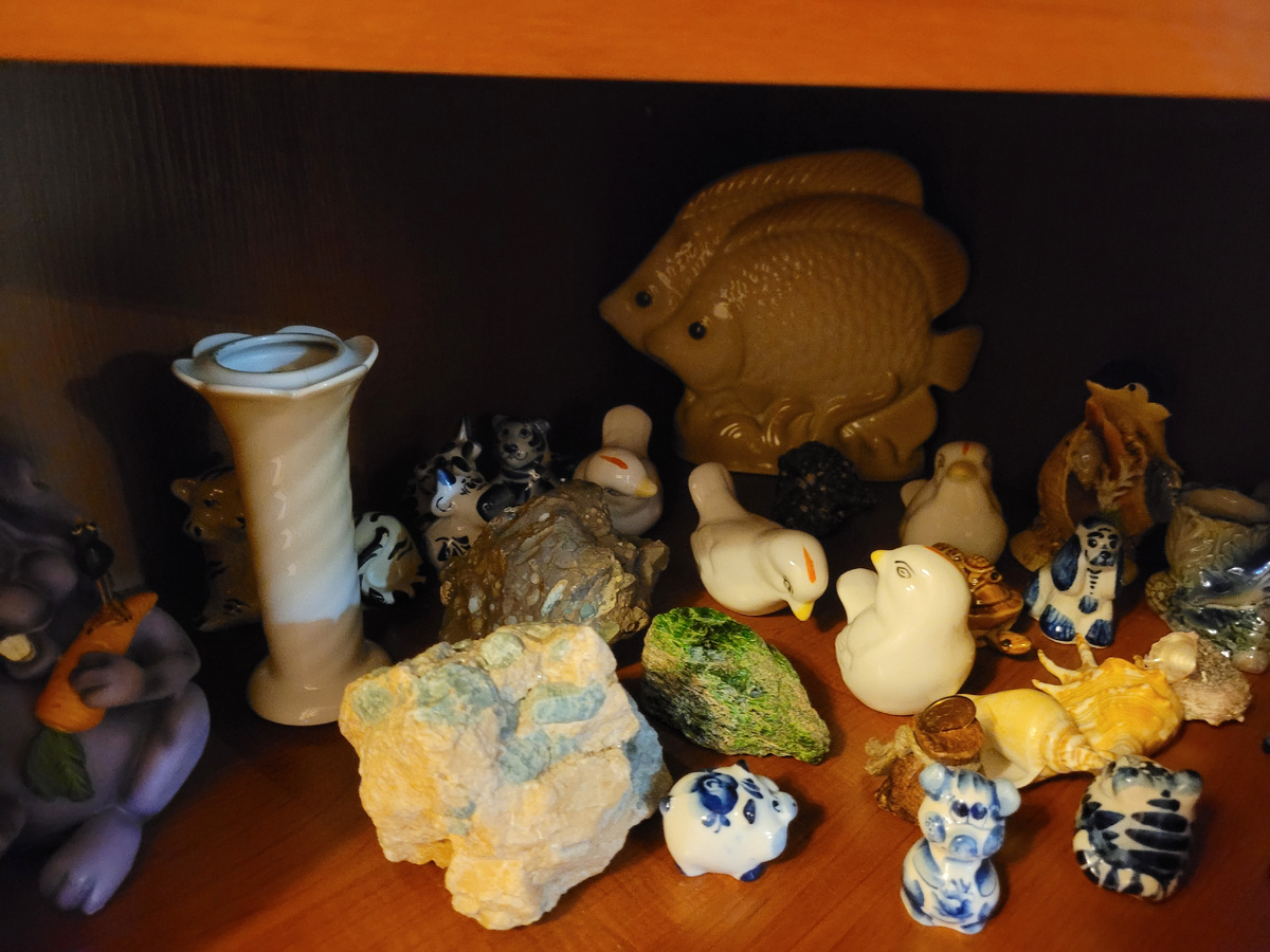 Моя коллекция