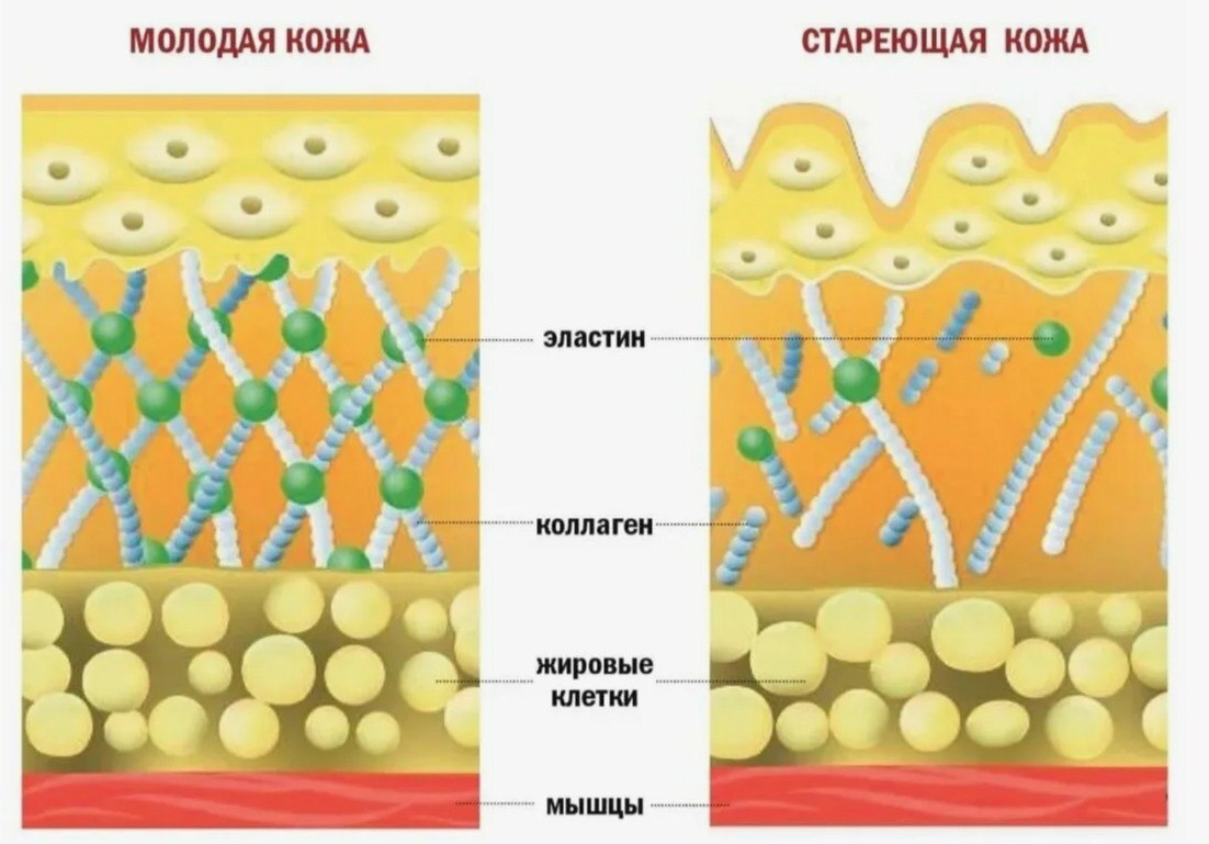 * иллюстрация из интернет-источника