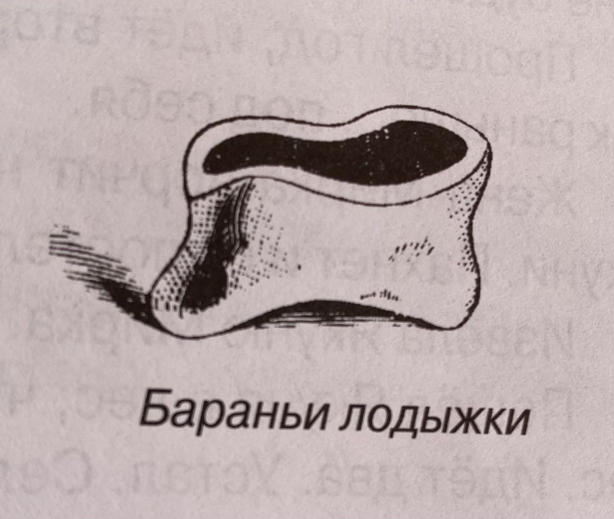 Рисунок В. А. Сухих. 