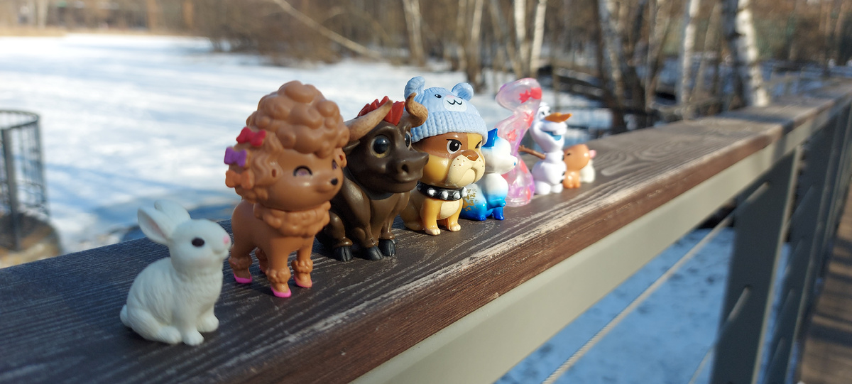 Кармашники на прогулке