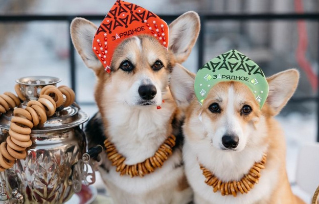    ЖК в гармонии с природой. «Зарядное» - новое место силы для кировчан