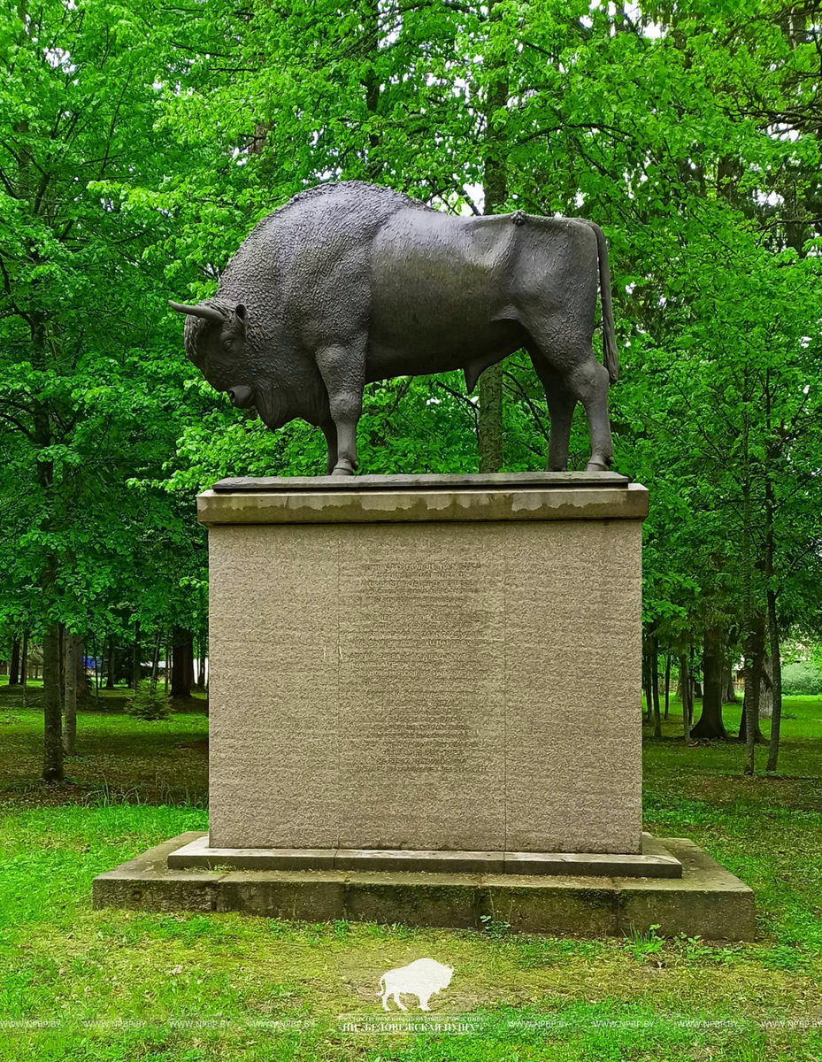 Памятник зубру в Беловежской пуще.
