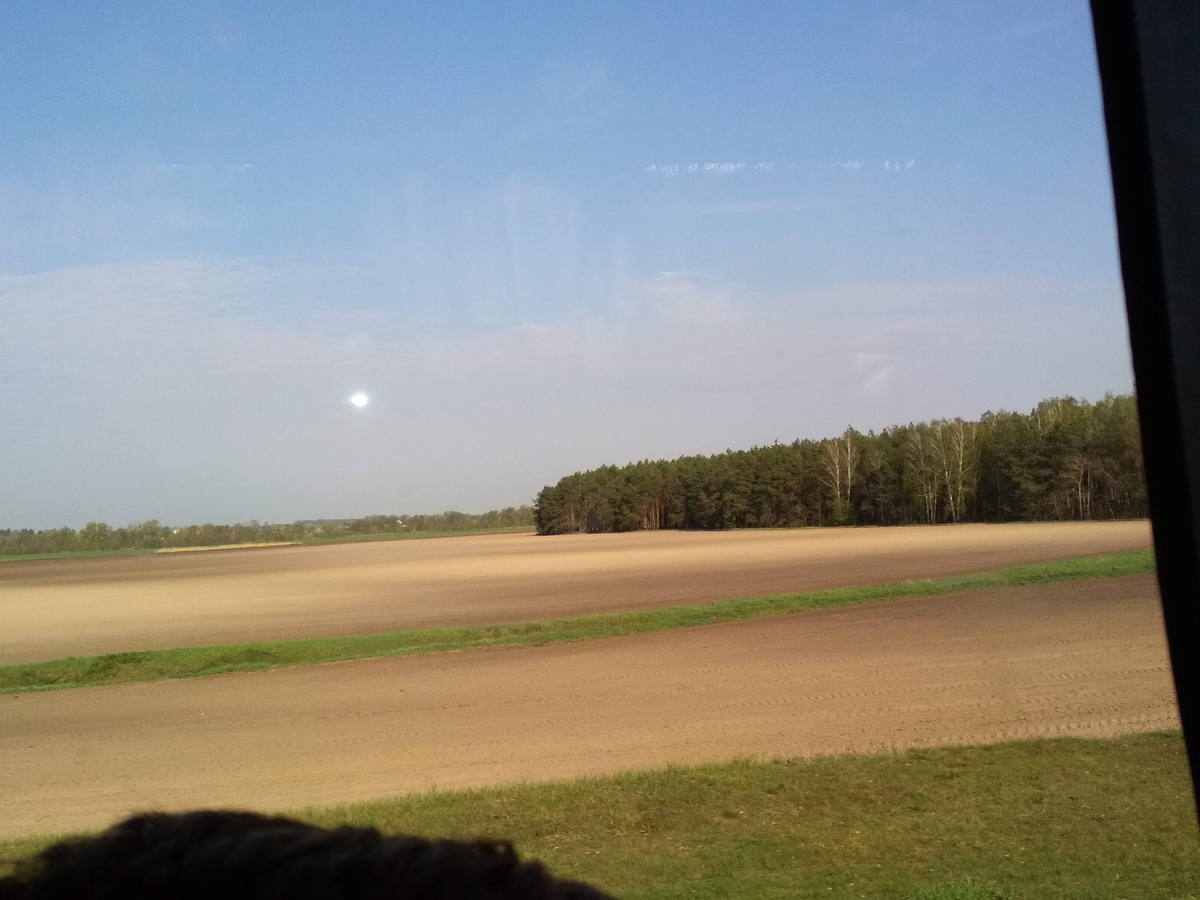 Поля чередуются с массивами сосновых лесов