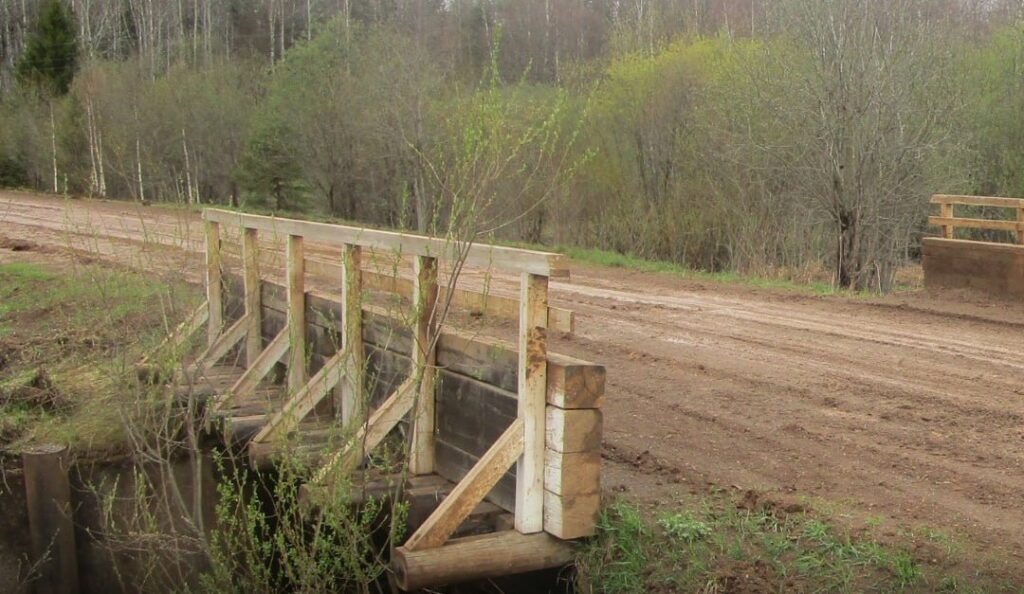    Фото: Минтранс/ТГ Ульяна Бажанова