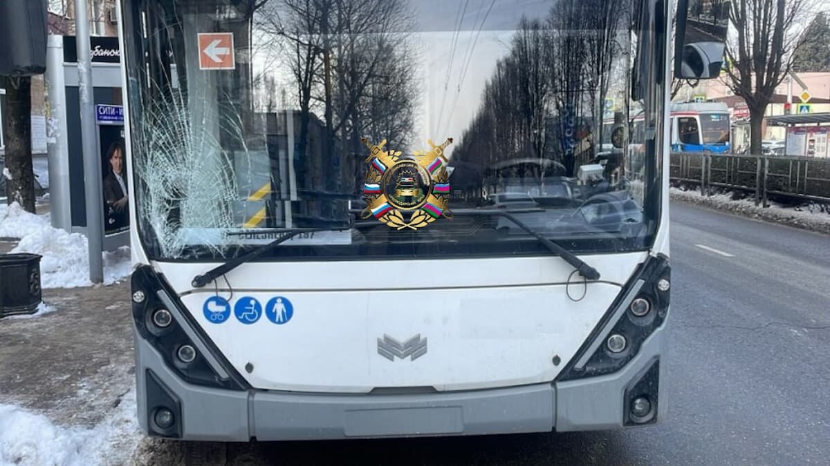    Фото t.me/gibdd123region