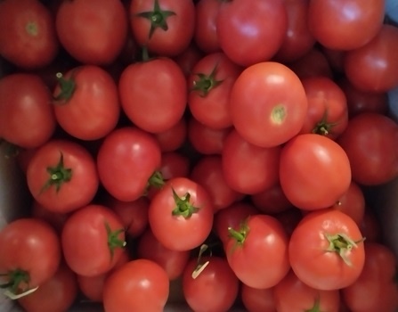 Фотография из личного архива автора