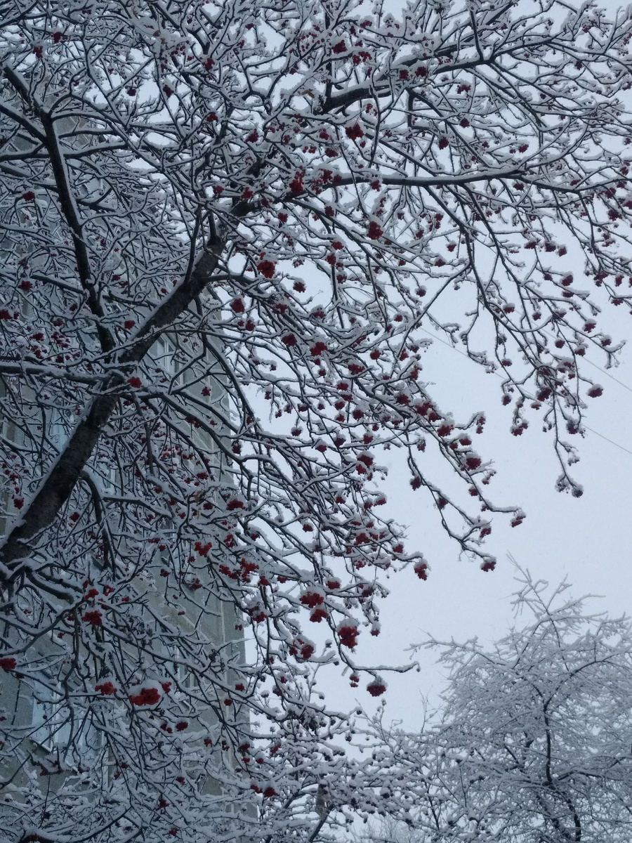 Но ведь нас судьба свела! ― Да кака судьба-то? По пьянке закрутилось и не выберешься...          Фильм Любовь и голуби