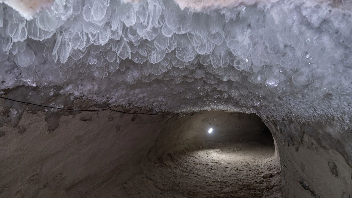    Фото: предоставлено пресс-службой губернатора ЯНАО