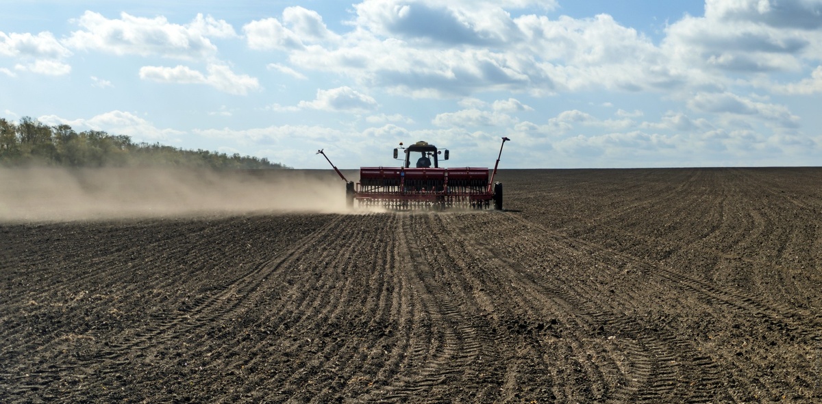 Фото: ИА «Победа26»/ТАСС