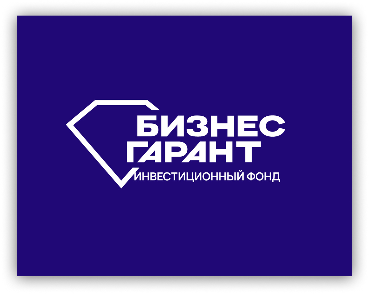 Разработано Бизнес Гарант