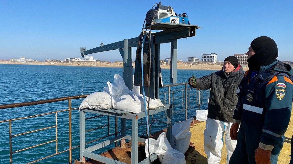    Фото: телеканал «Краснодар»