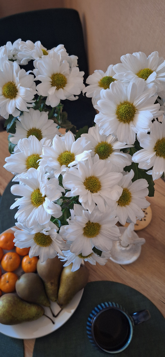 Хризантемам на фото 23 дня, а они до сих пор прекрасны, радуют глаз и создают настроение😊😊😊