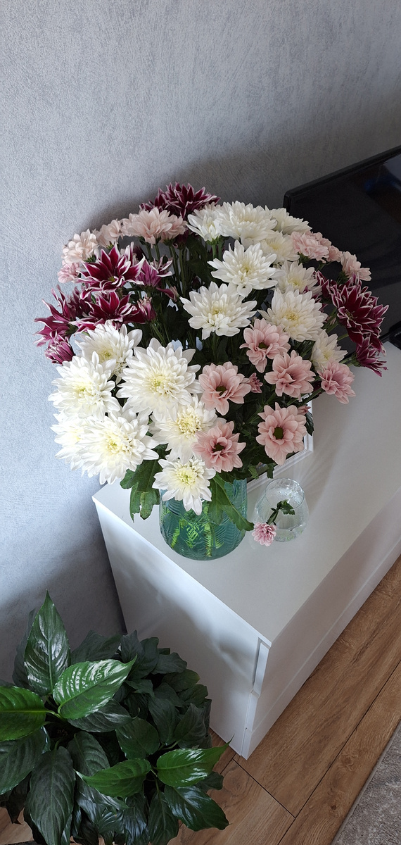 Не спешите выкидывать отломившийся цветок, если поставить его в отдельную вазочку либо даже подходящий стакан это может стать отличным дизайнерским приёмом и добавит изюминку вашему интерьеру. 