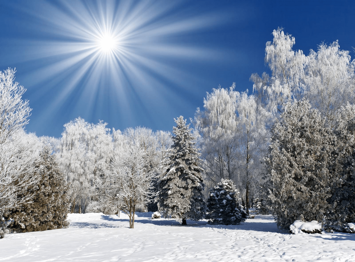 Фото взято из интернета