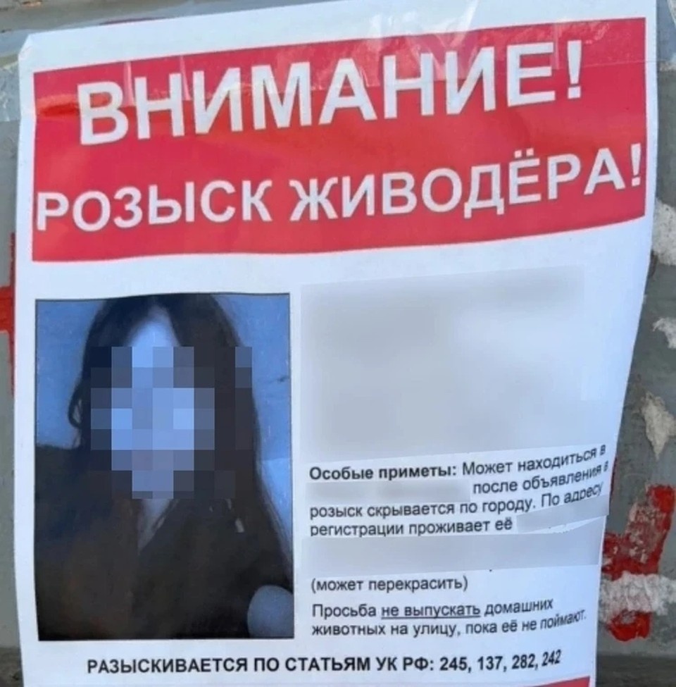 Листовки, которые распространяли по Уфе сообщники Михаила. Фото: предоставлено "КП-Уфа".