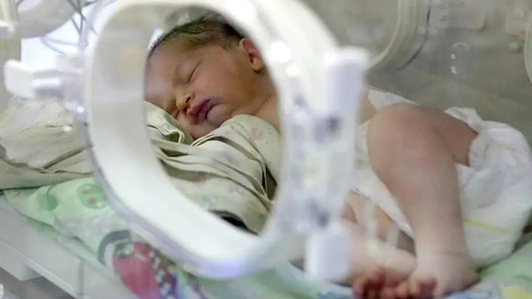    Фото: Сандурская Софья/АГН "Москва"