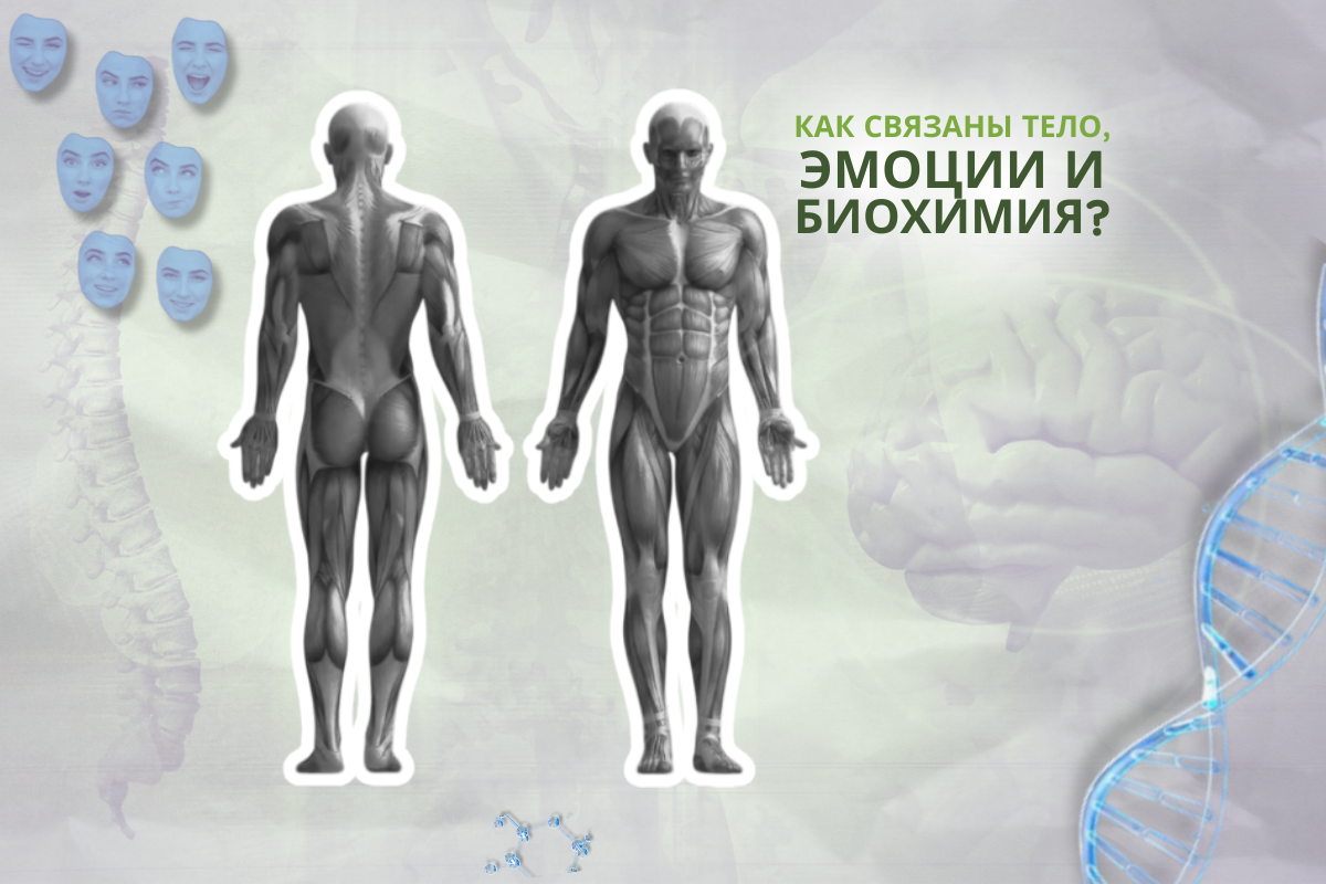 Доктор Окасена 