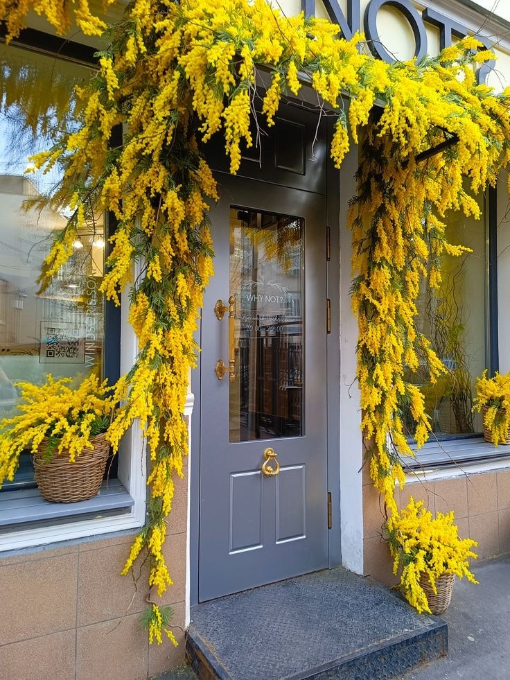 Вариант декора витрины (взято из сети Интернет)