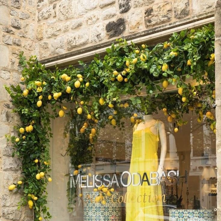 Вариант декора витрины (взято из сети Интернет)