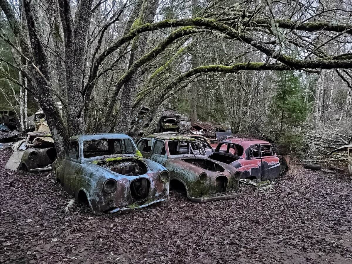 Участники номинации лучший цвет автомобиля в категории "ржавчина". Фото: М. Рябинин, Швеция, 2023г.