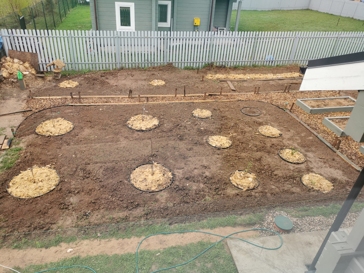 После установки приствольных кругов