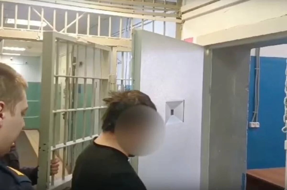    В Тверской области цыган продал китайскую подделку вместо бензогенератора