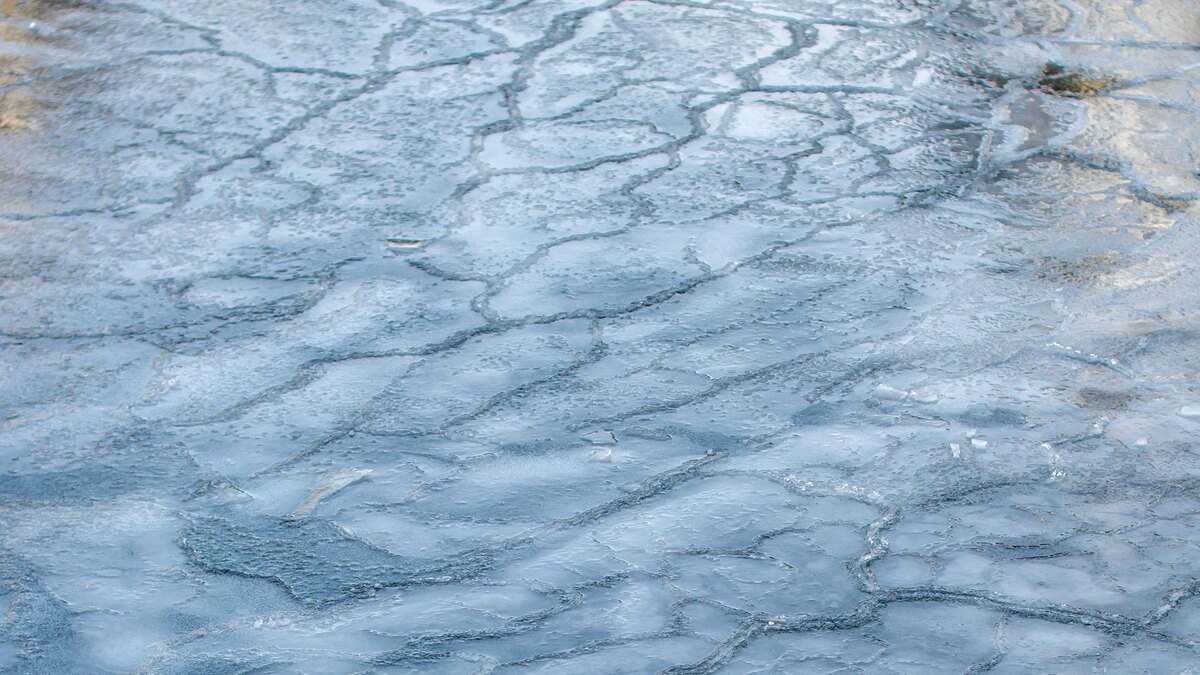    Фото: unsplash.com