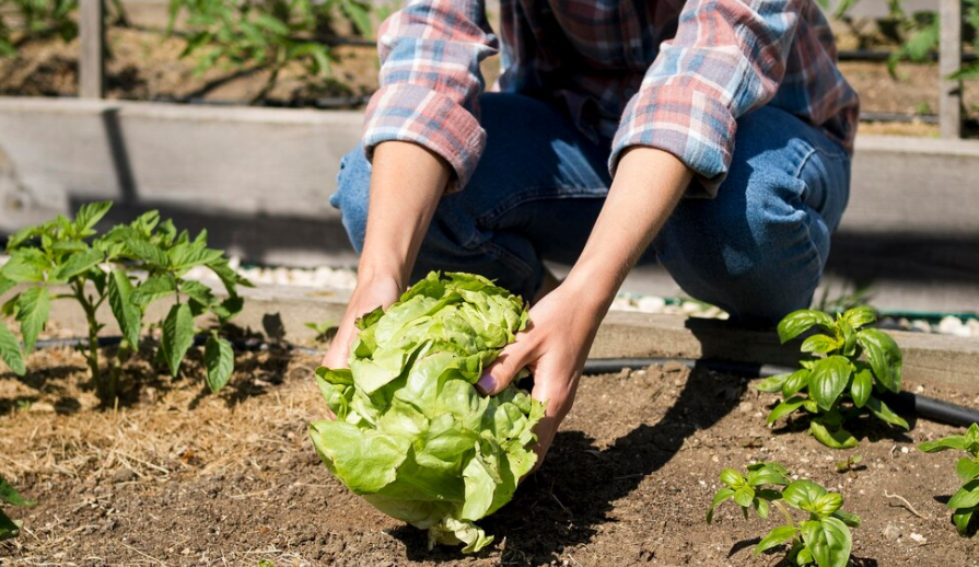 Изображение от Freepik