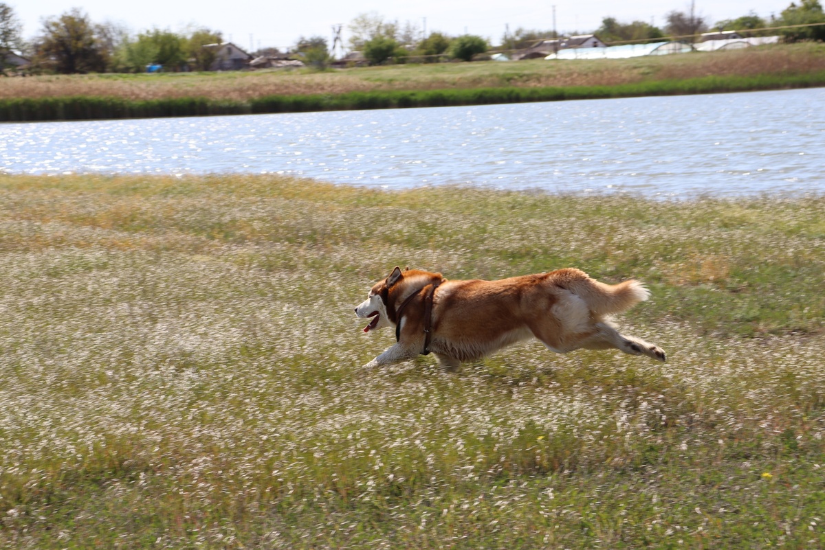    крым 24 Владимир Прошкин