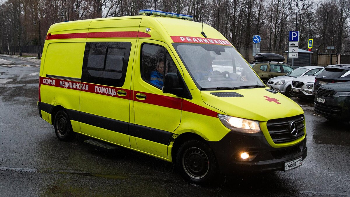    Фото: ИЗВЕСТИЯ/Телеканал «78»