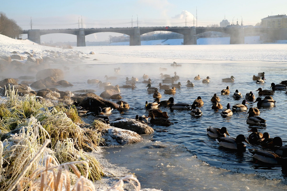И на всякий случай возьмите с собой непромокаемую обувь и дождевики: зимы в России становятся всё теплее даже в северных регионах. Тверь не исключение. Фото: DM.G / Shutterstock / Fotodom