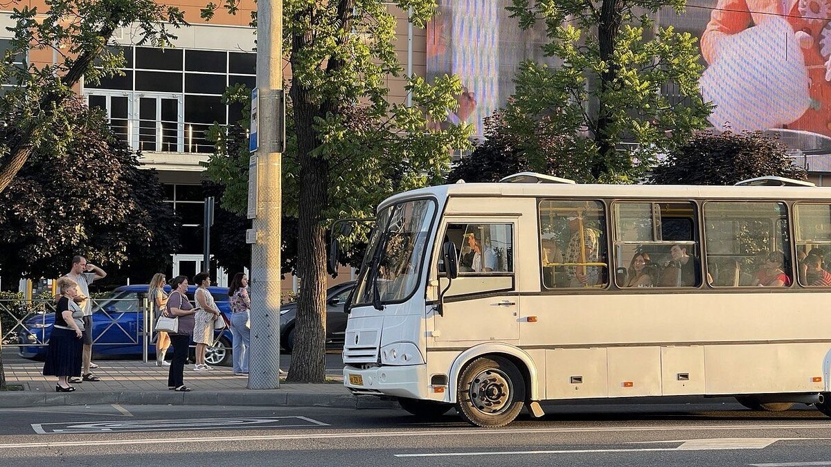    Фото: телеканал «Краснодар»