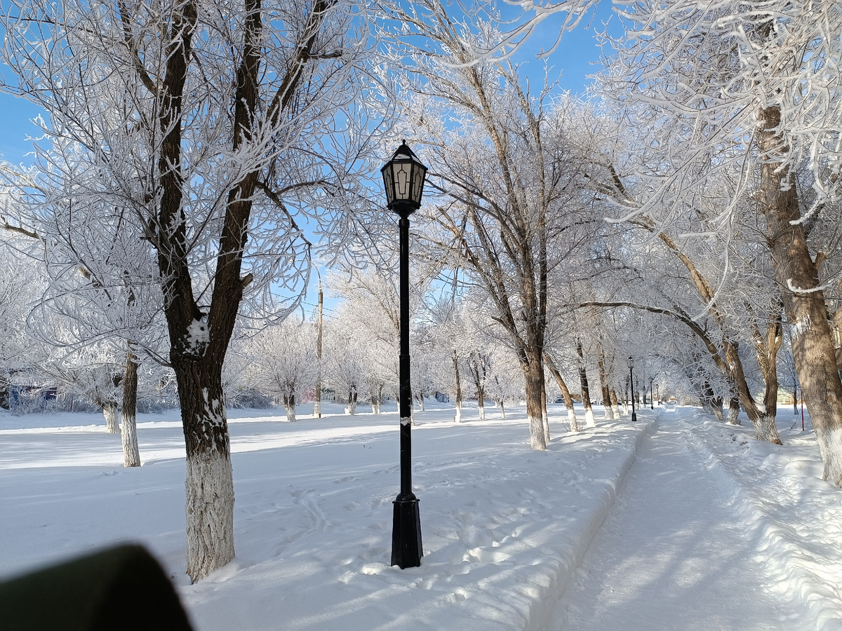 Мороз и солнце. И ни одна лошадь не испортила чистоты пейзажа