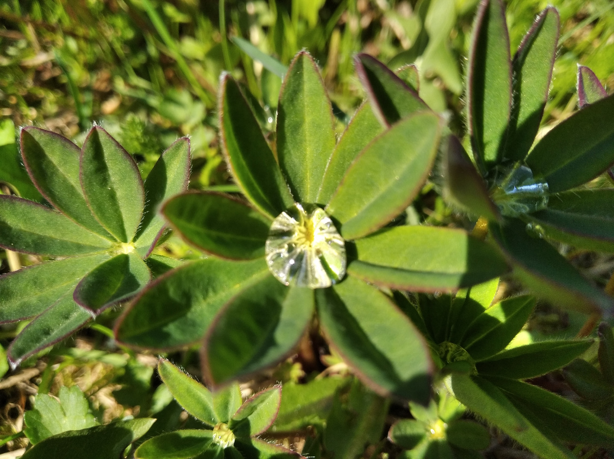 Фото для заставки, жду весну, ммое любимое время года)