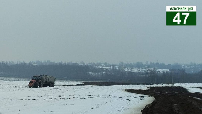 Фото: Госэконадзор Ленобласти