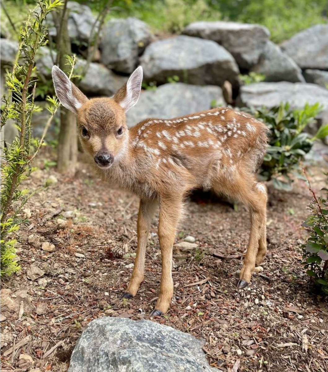    «Фотографируй только с этой стороны. Она рабочая!»