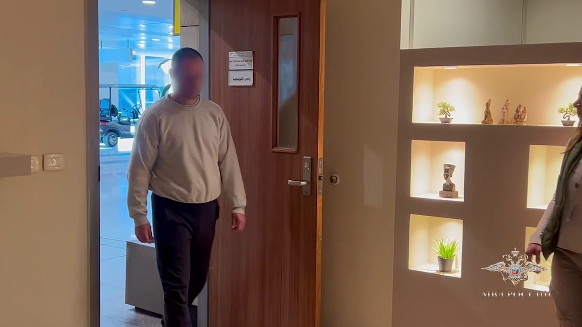 t.me/ Ирина Волк