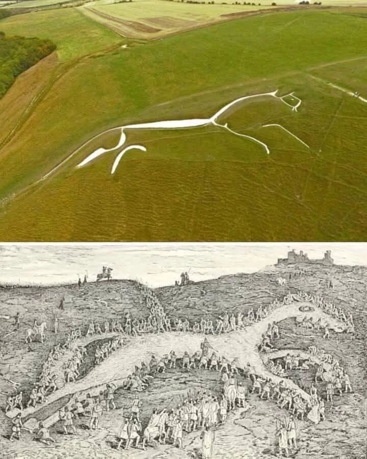 Фото взято из открытого источника