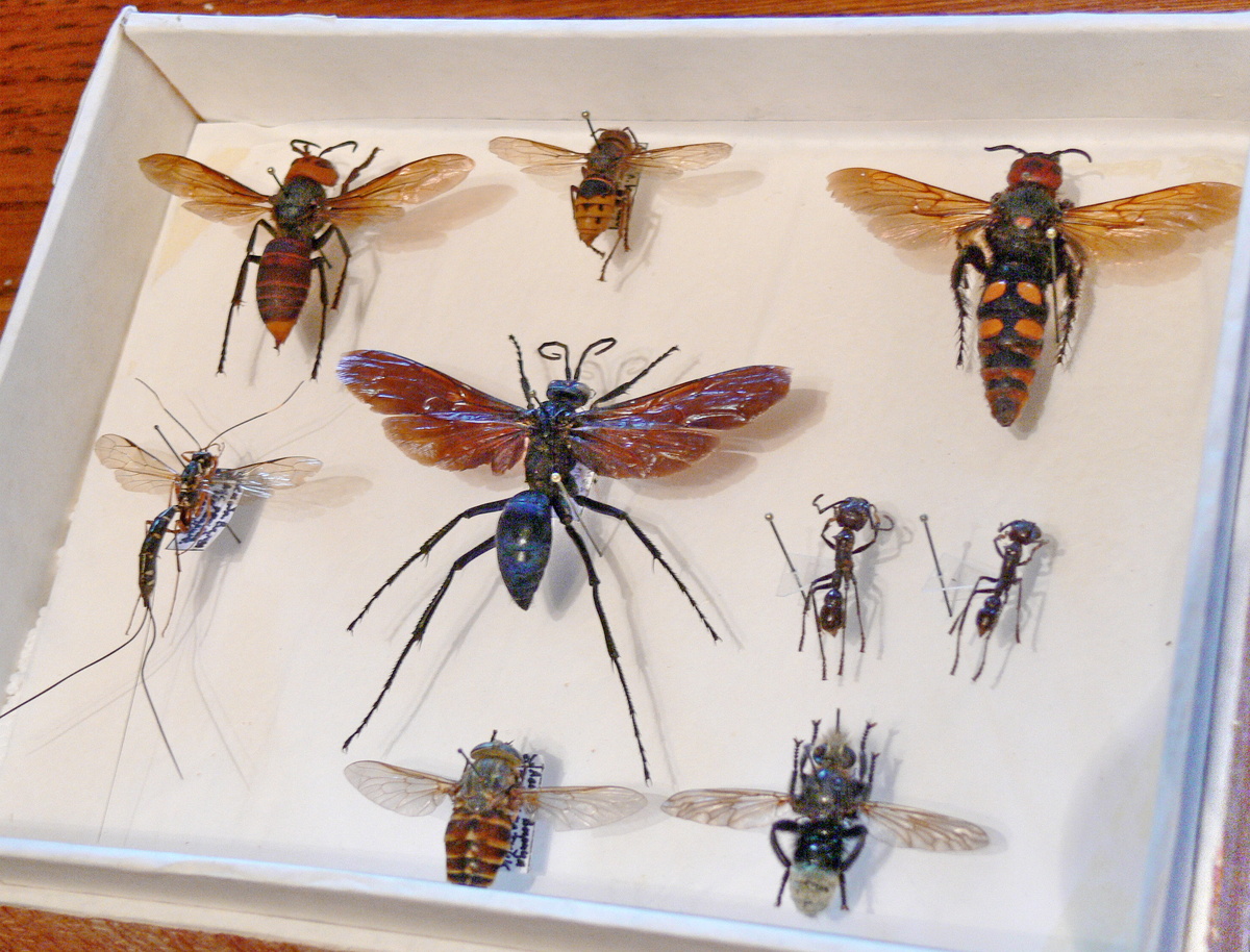 В коллекции